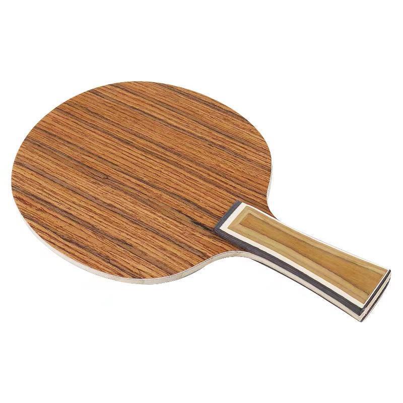 Tavola da ping pong in palissa - Table Tennis Defense recensione e prezzo